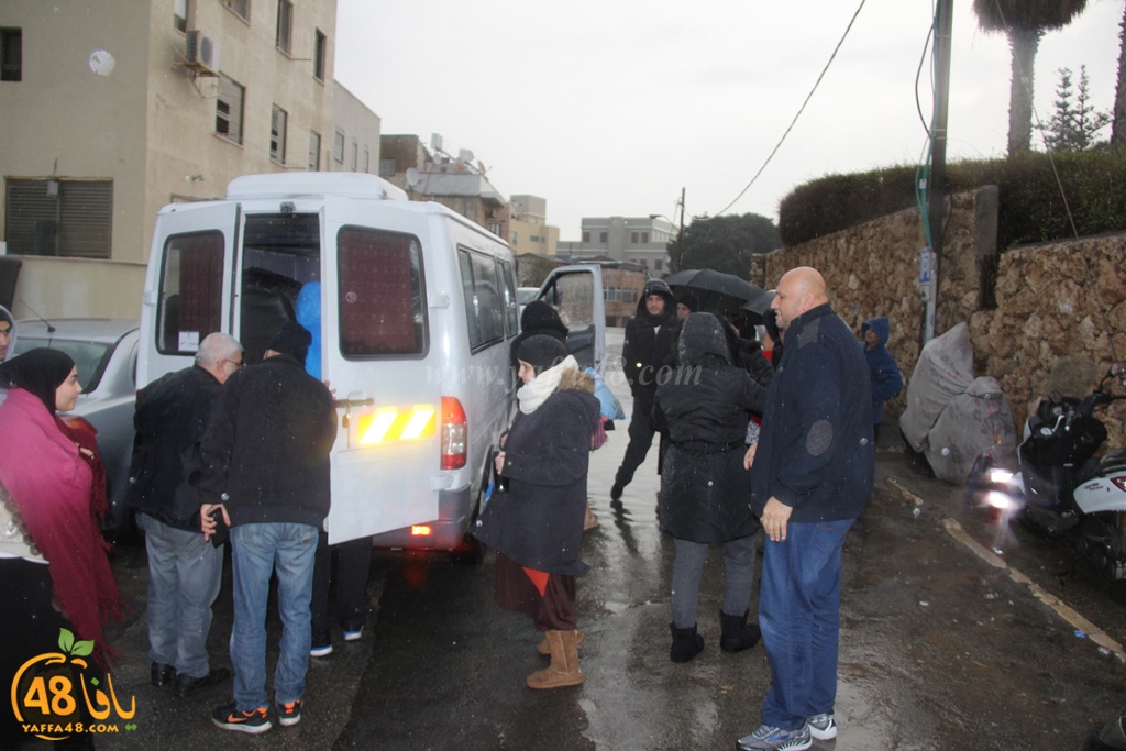 mo3mtreen eight (11).JPG